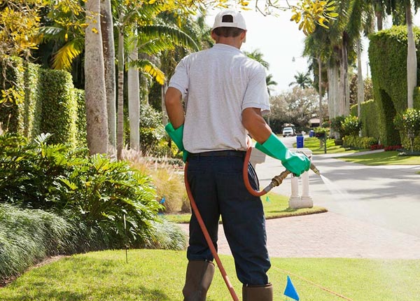 About Luning NV Pest Control